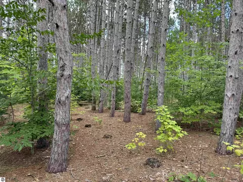 Vl Pine Air Drive, Grawn, MI 49637