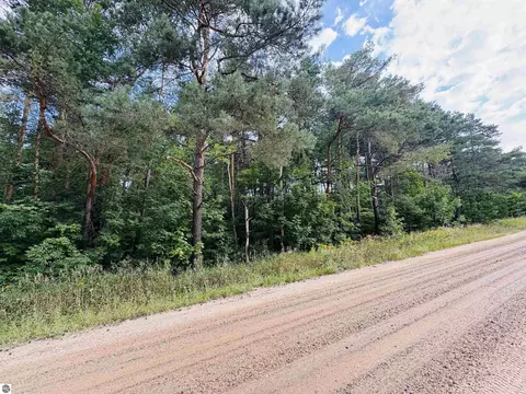 E 18 1/2 Road, Manton, MI 49663