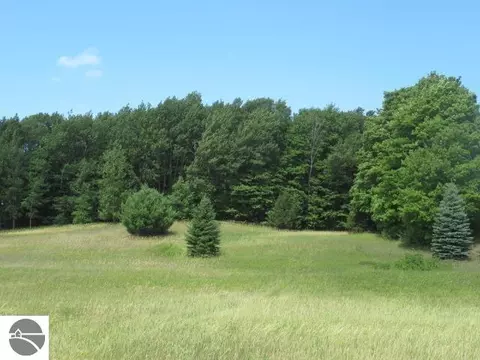 lot4 E Lincoln Rd, Cedar, MI 49621 photo 7
