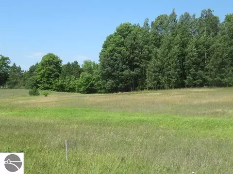 lot4 E Lincoln Rd, Cedar, MI 49621 photo 11