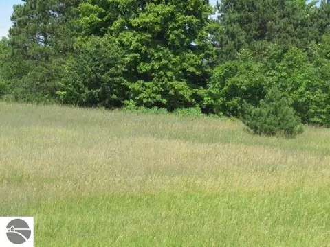 lot4 E Lincoln Rd, Cedar, MI 49621 photo 13
