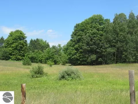 lot4 E Lincoln Rd, Cedar, MI 49621 photo 12