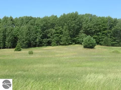 lot4 E Lincoln Rd, Cedar, MI 49621 photo 9