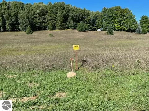 lot4 E Lincoln Rd, Cedar, MI 49621 photo 3