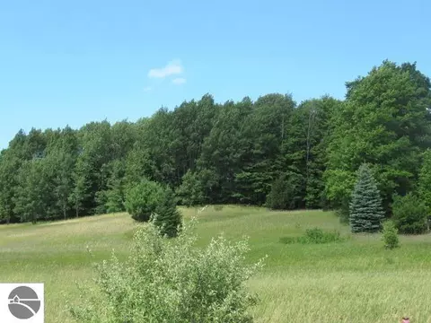 lot4 E Lincoln Rd, Cedar, MI 49621 photo 4