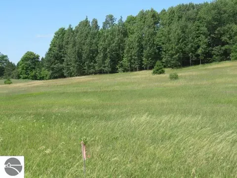 lot4 E Lincoln Rd, Cedar, MI 49621 photo 8