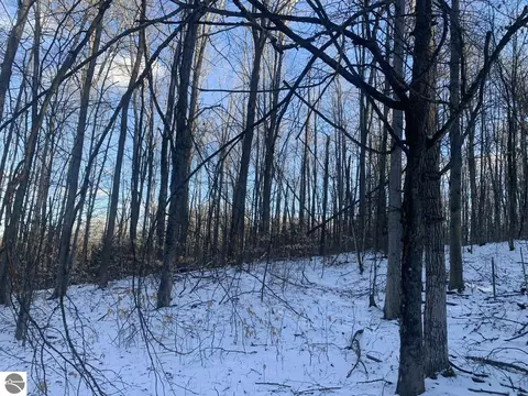 V/l Cameron Bridge Road, Frederic, MI 49733 photo 6