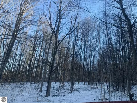 V/l Cameron Bridge Road, Frederic, MI 49733 photo 5
