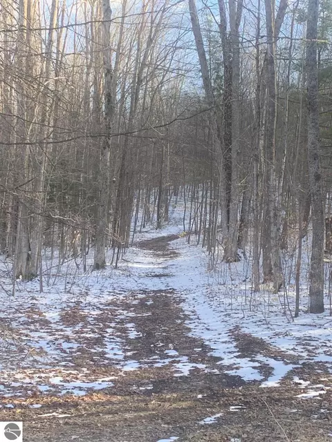 V/l Cameron Bridge Road, Frederic, MI 49733 photo 4