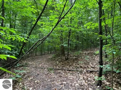 V/l Cameron Bridge Road, Frederic, MI 49733 photo 2