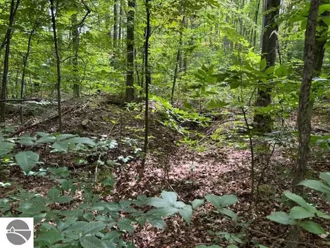 V/l Cameron Bridge Road, Frederic, MI 49733 photo 3