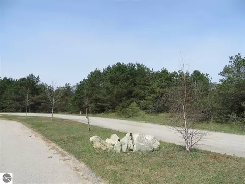 5 Spruce Hollow Trce, Fife Lake, MI 49633