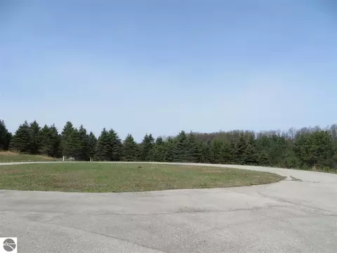 1 Spruce Hollow Trce, Fife Lake, MI 49633