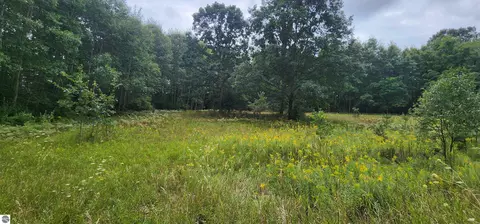 Parcel C River Road, Manistee, MI 49660