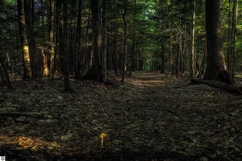 00 Fall Rd, Grawn, MI 49637 photo 2
