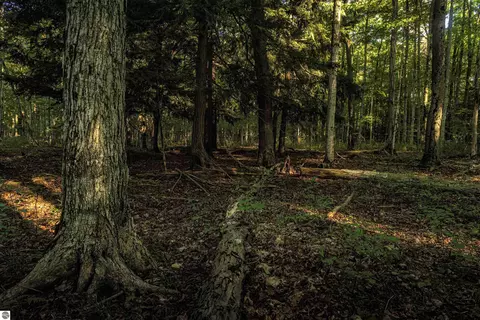 00 Fall Rd, Grawn, MI 49637 photo 6