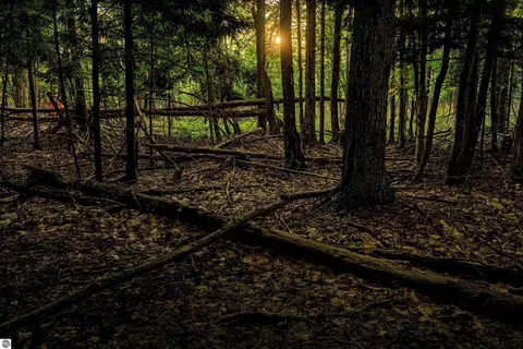 00 Fall Rd, Grawn, MI 49637 photo 5