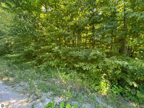 lot134 E Cherry Ln, Cedar, MI 49621