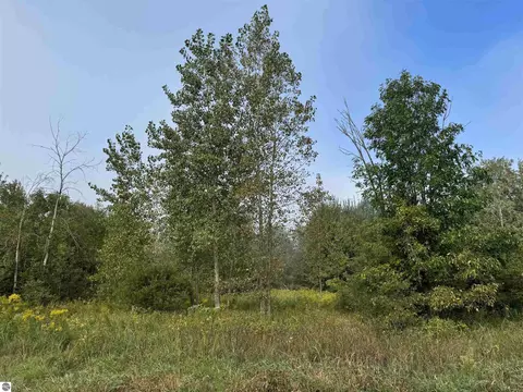 tbd S Leaton Rd, Shepherd, MI 48883 photo 3