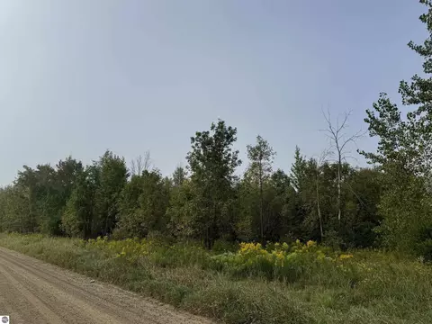 tbd S Leaton Rd, Shepherd, MI 48883 photo 5