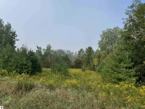 tbd S Leaton Rd, Shepherd, MI 48883 photo 2