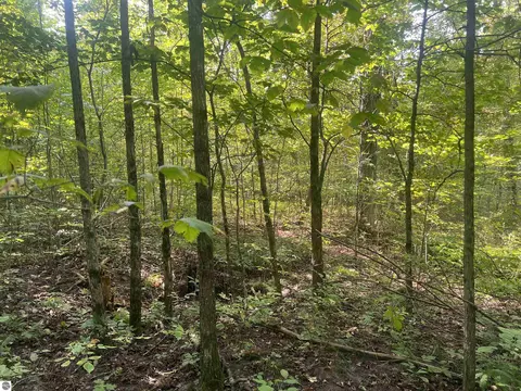 00 30 14 Rd, Boon, MI 49618 photo 3