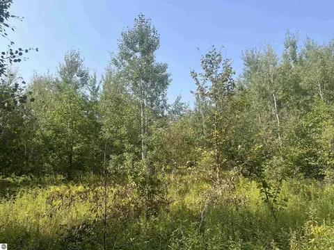 00 30 14 Rd, Boon, MI 49618 photo 9