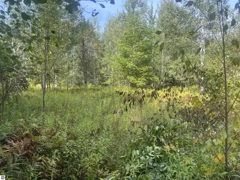 00 30 14 Rd, Boon, MI 49618