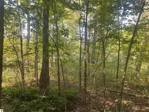 00 30 14 Rd, Boon, MI 49618 photo 4