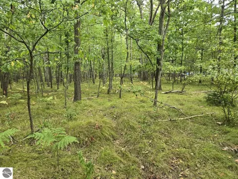 1009 Castle Dr, Lake Isabella, MI 48893