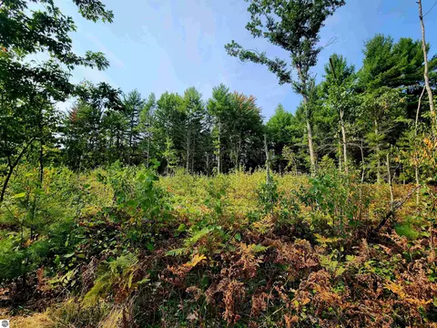 39 20 Acres Lindroos Rd, Kaleva, MI 49645