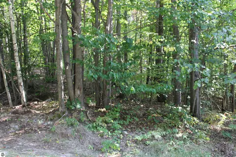 Sunburry Road, Kalkaska, MI 49646