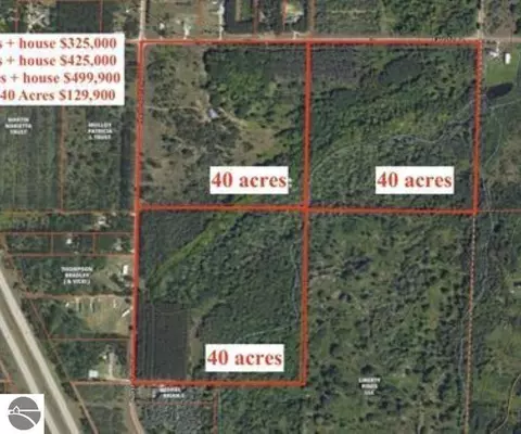0 43 12 Rd, Manton, MI 49663