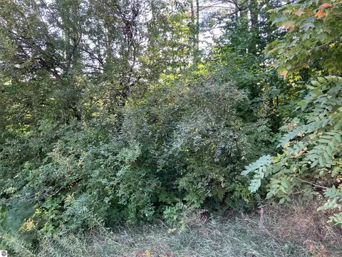00 Cool Rd, Kalkaska, MI 49646