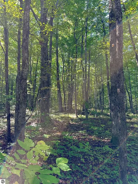 000 Woodland Dr NE, Kalkaska, MI 49646