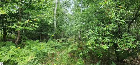Parcel D&e River Road, Manistee, MI 49660