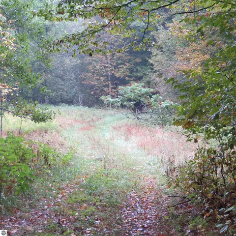 Mary Ann, Boon, MI 49618 photo 8