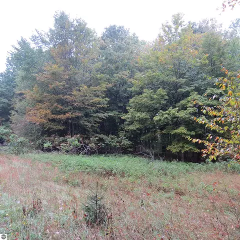 Mary Ann, Boon, MI 49618 photo 10