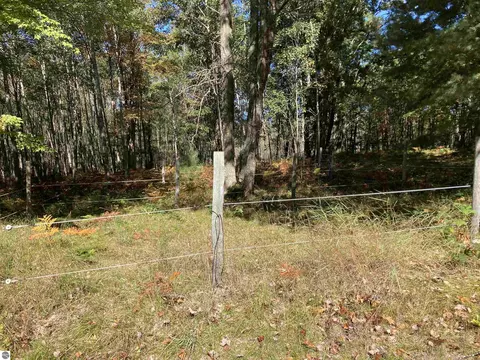 00 Forest Dr, Cadillac, MI 49601 photo 14