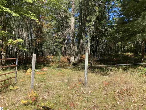 00 Forest Dr, Cadillac, MI 49601 photo 13