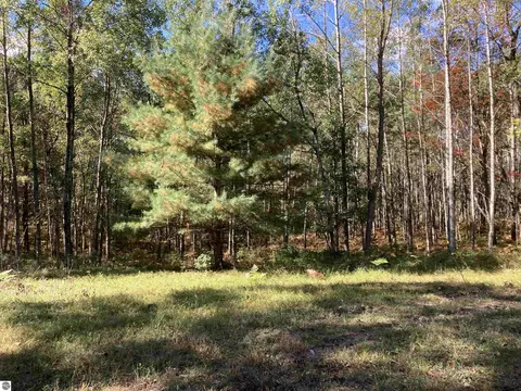 00 Forest Dr, Cadillac, MI 49601 photo 6