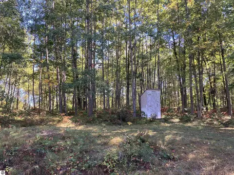 00 Forest Dr, Cadillac, MI 49601 photo 8