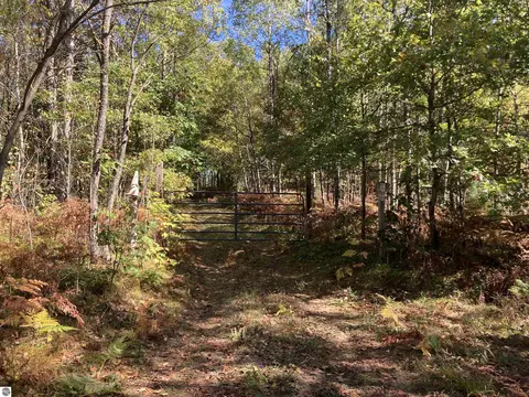 00 Forest Dr, Cadillac, MI 49601 photo 2
