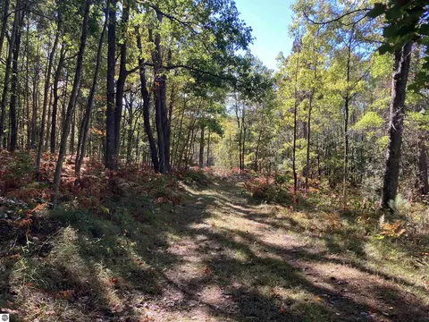 00 Forest Dr, Cadillac, MI 49601 photo 10