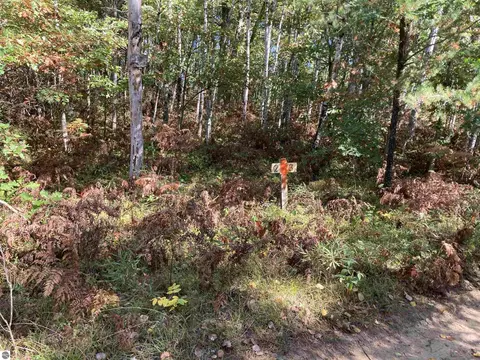 00 Forest Dr, Cadillac, MI 49601 photo 11