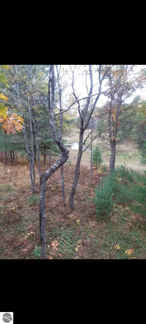 00 Forest Dr, Cadillac, MI 49601 photo 16