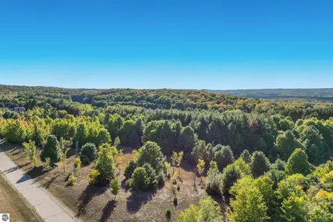 V/l S Ramblewood Drive, Cedar, MI 49621