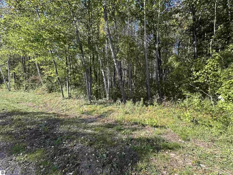 lot40 Witbeck Dr, Clare, MI 48617