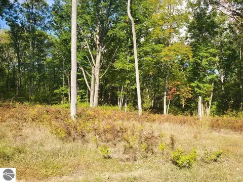 7864 S 1 Rd, Harrietta, MI 49638 photo 10