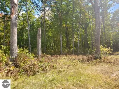 7864 S 1 Rd, Harrietta, MI 49638 photo 7